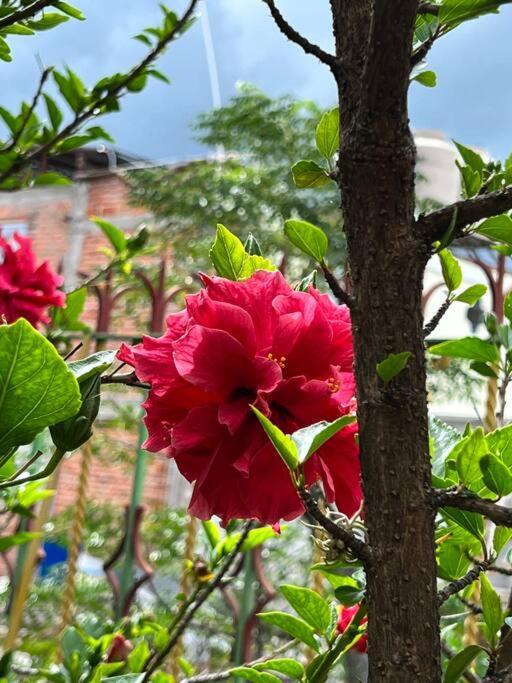 Olivos Habitacion Cuadruple テキスキアパン エクステリア 写真